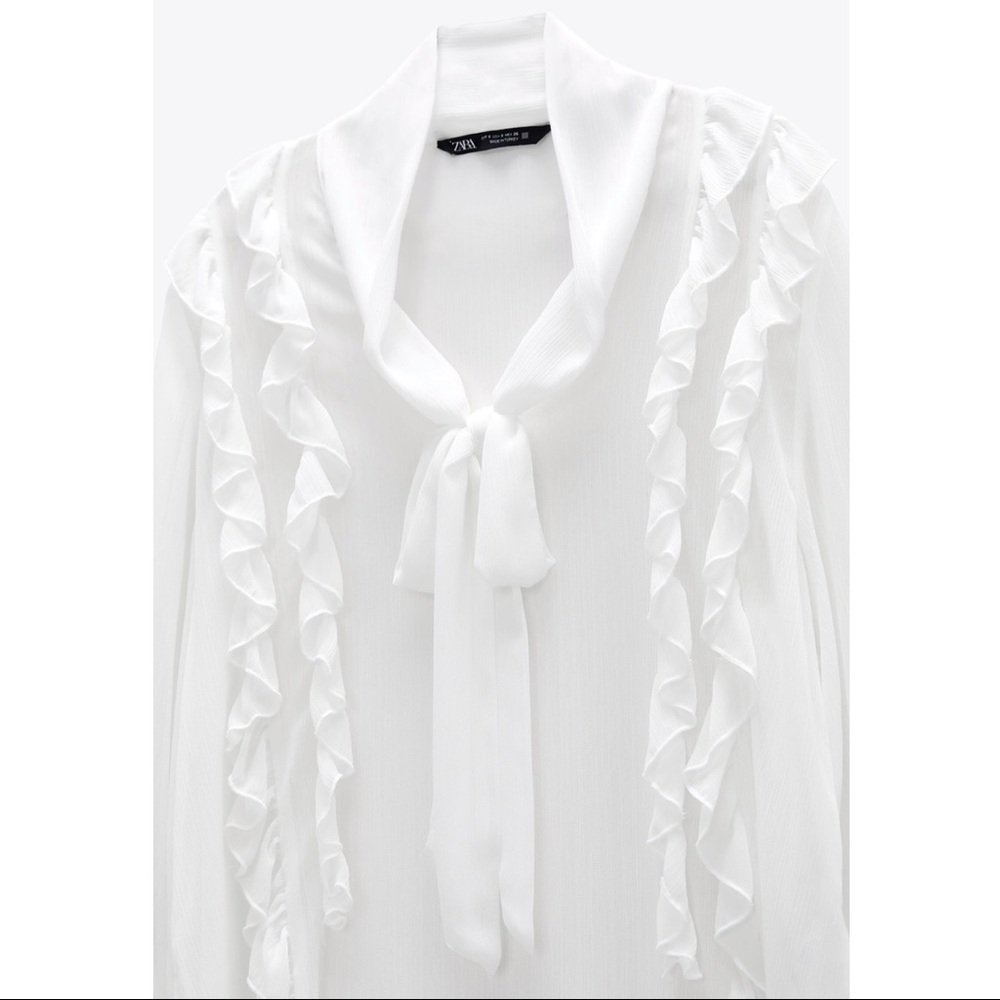 Zara Chiffon Ruffled Blouse - Picture 4 of 9